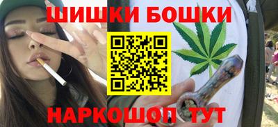 индика Будённовск