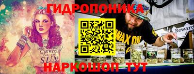 гашик Бузулук