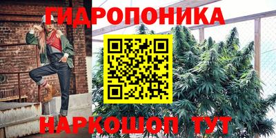 индика Будённовск