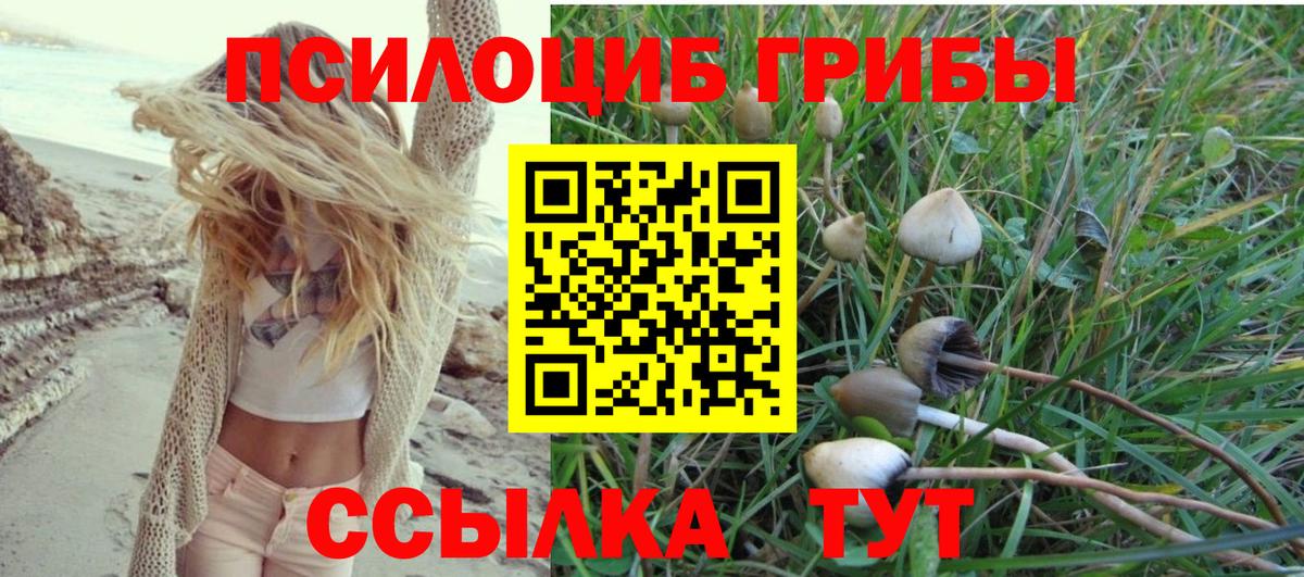 Подольск  Псилоцибиновые грибы мицелий  Псилоцибиновые грибы Psilocybine cubensis  Вход с VPN 